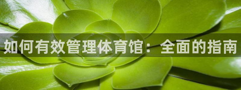 必一体育合法吗：如何
