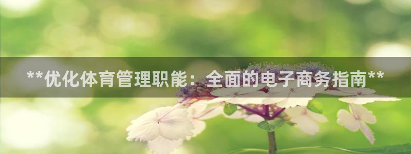 必一体育sport官