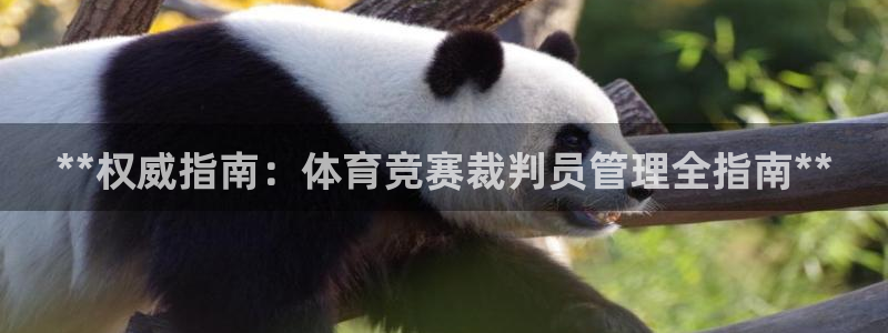 必一运动sport网