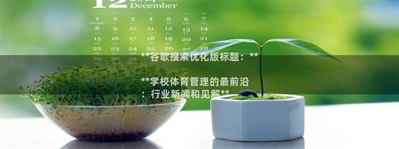 必一体育sport装