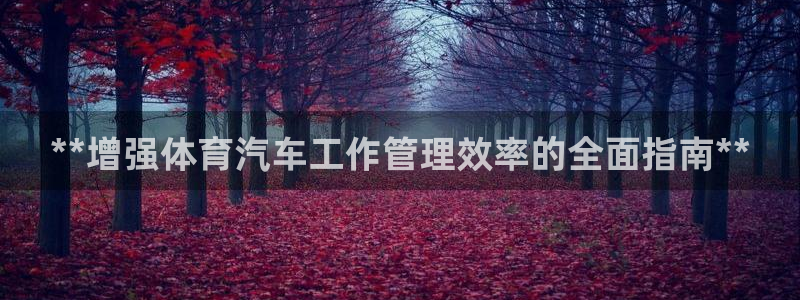 必一体育流水线是什么