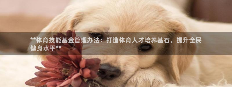 必一运动bsport