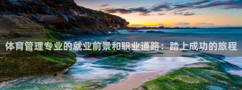 必一体育sport：
