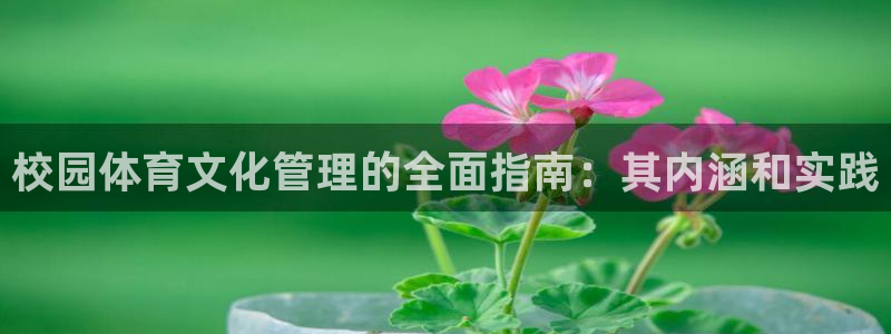 必一体育官网网址：校