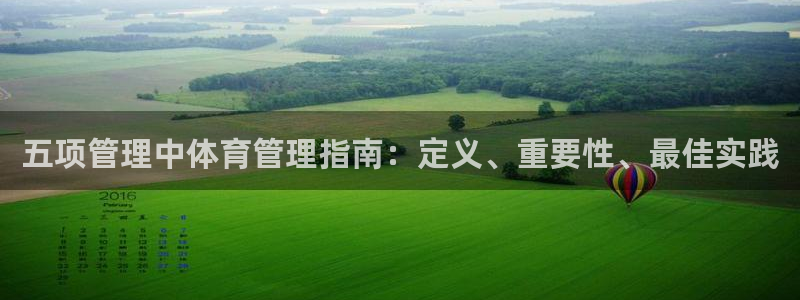 必一体育APP：五项