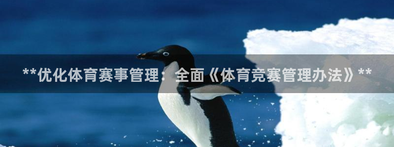 必一体育在线玩：**