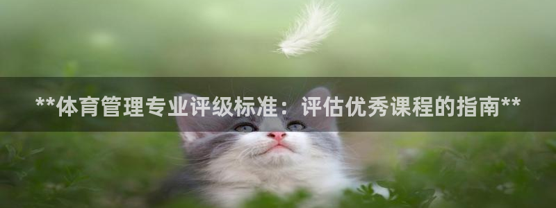 必一体育官方app下