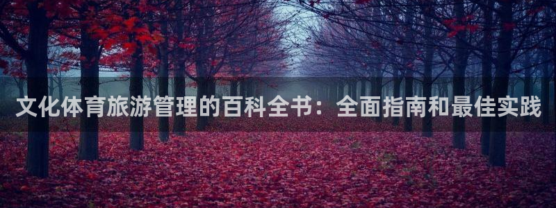 必一体育登录：文化体