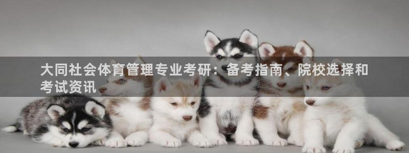 必一体育运动app：