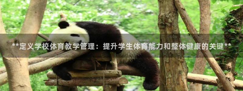 必一运动：**定义学