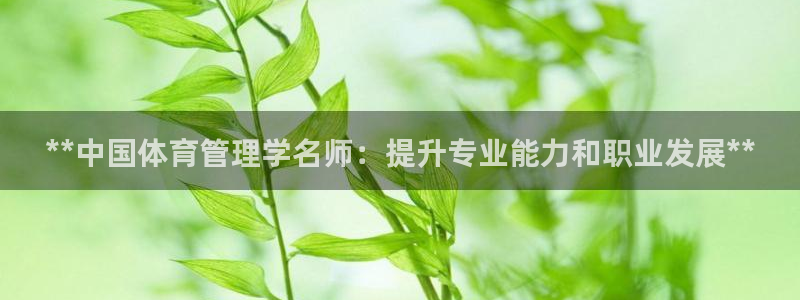 必一体育电子app：