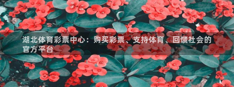 必一运动体育app：