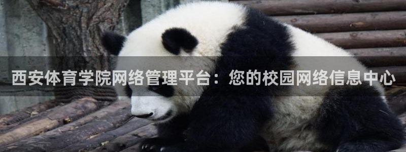 必一体育官方网站入口