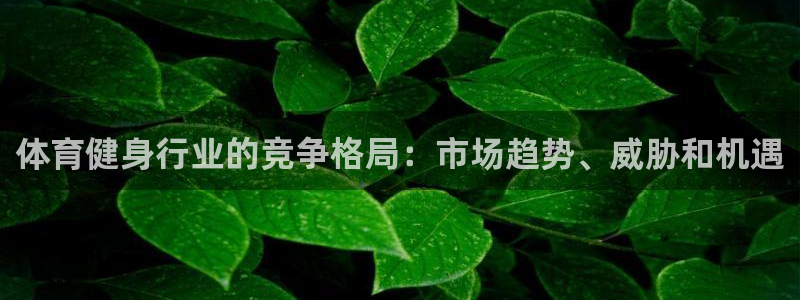 必一体育官网ios下