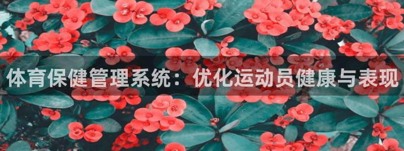 必一体育bsport