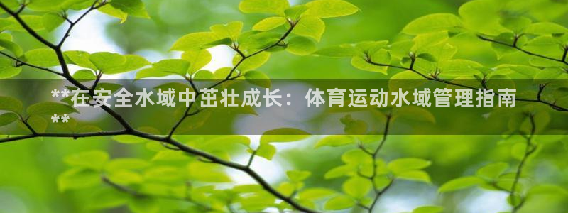 必一体育官方下载入口
