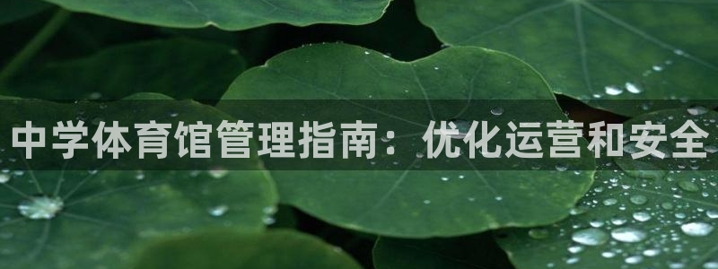 必一体育官网app：