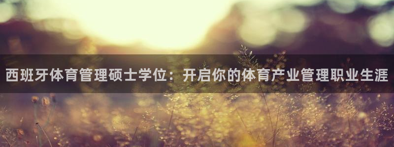 必一体育手机下载：西