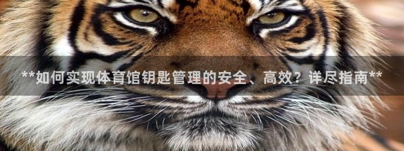 必一体育在线登陆：*