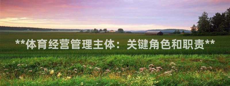 必一体育sport网