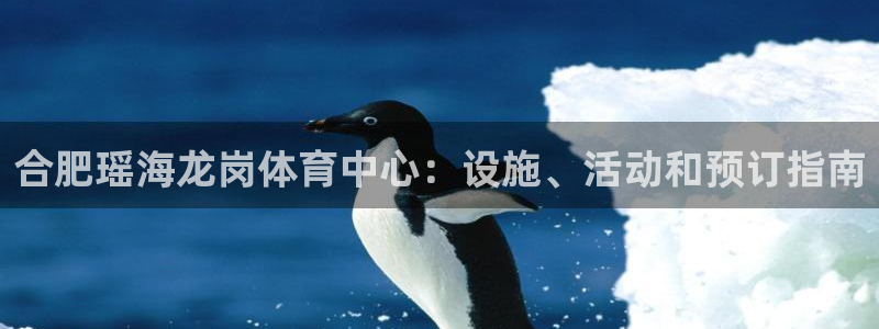b体育必一下载：合肥