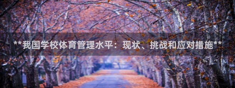 必一体育官网app：