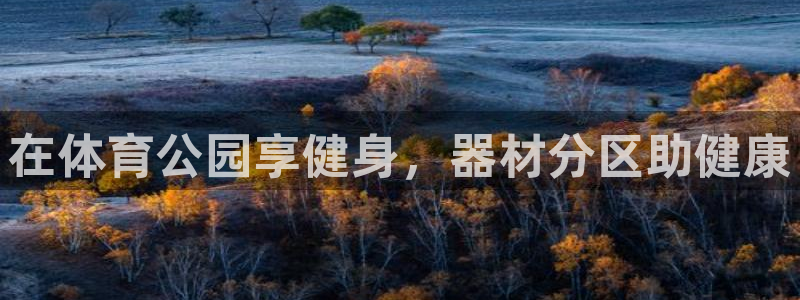 必十二和必一的副作用
