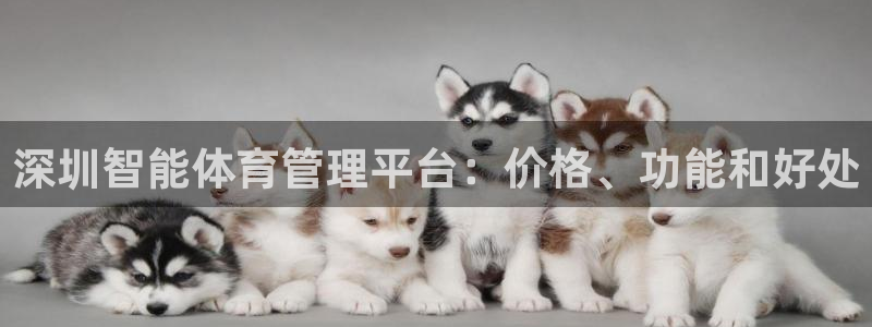 必一体育电子app：