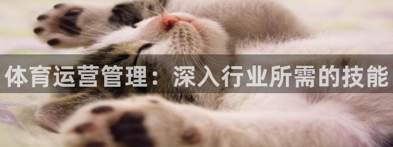 必一体育app下载：