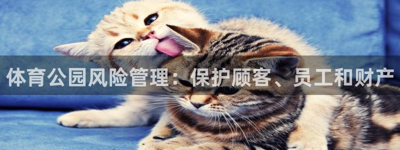 必一体育没了：体育公