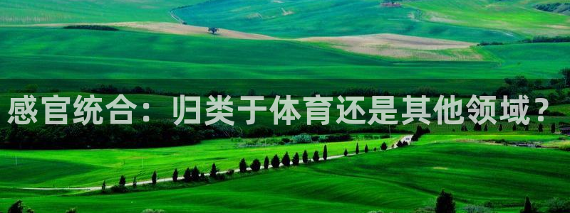 必一体育流水线是什么