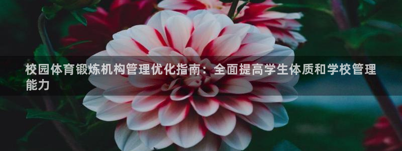 必一体育sport官