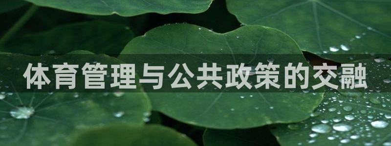 必一体育合法吗：体育