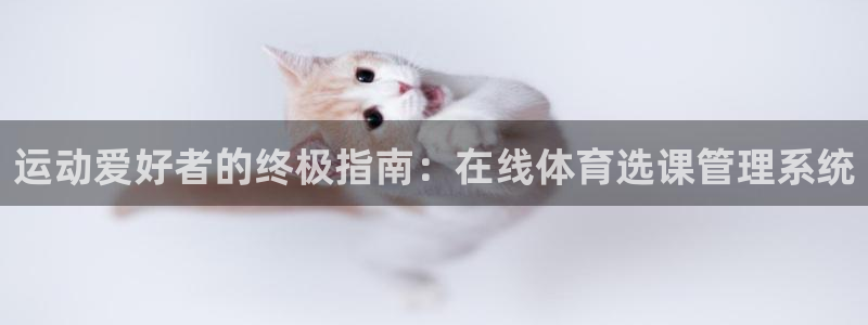 必一体育电子app：