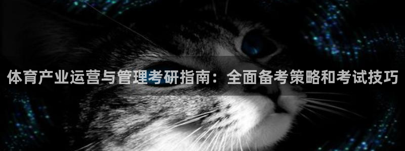 必一体育运动app下
