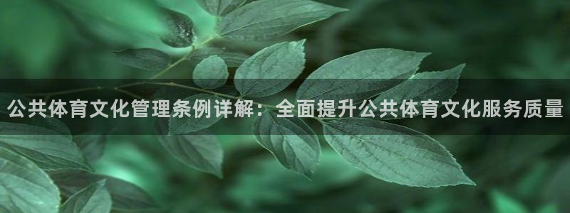 b体育官网下载入口a