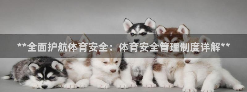 必一体育怎么下载：*