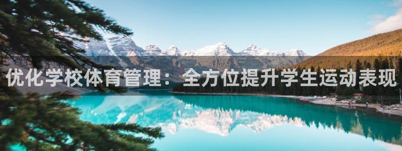 必一体育验证码：优化