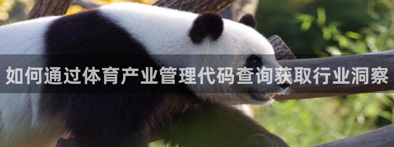b体育官网下载入口a