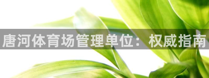 必一运动体育app：