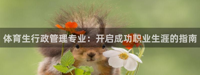 必一体育运动平台官网