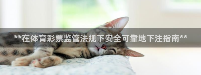 必一体育app官方：