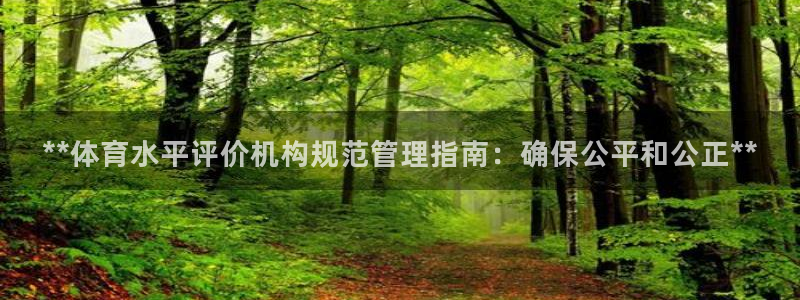 必一体育app平台下