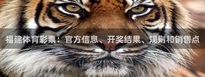 必一体育流水线是什么