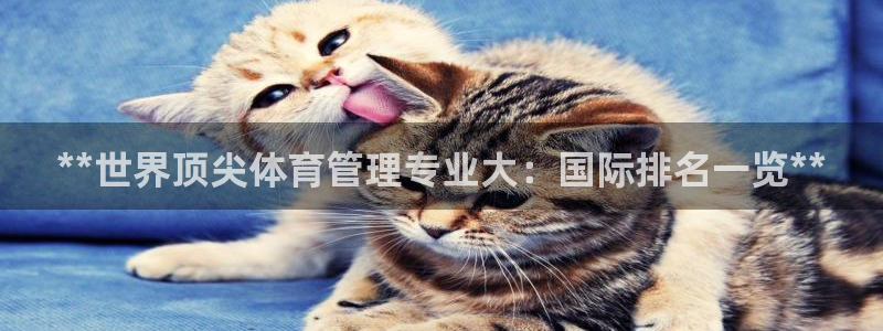 必一体育sport装