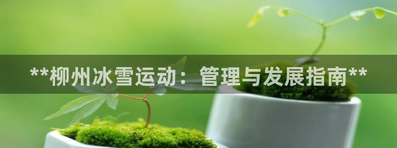必一体育运动app下