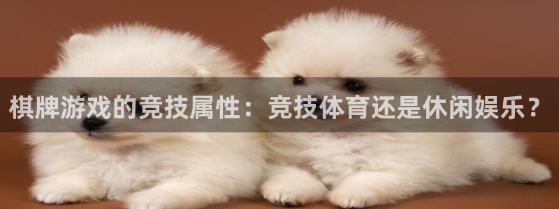 必一体育没了：棋牌游