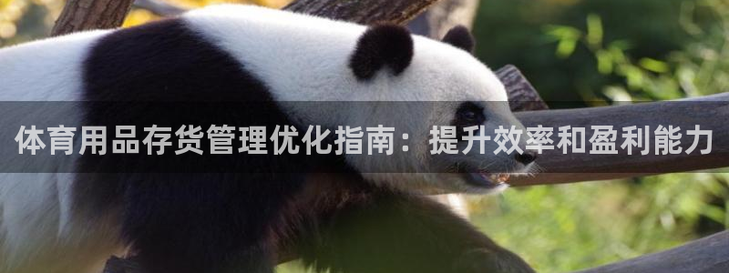 必一体育没了：体育用