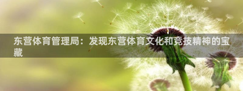 必一运动：东营体育管