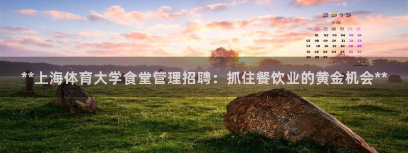 必一体育app官方下